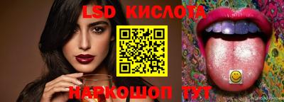 стаф Сланцы