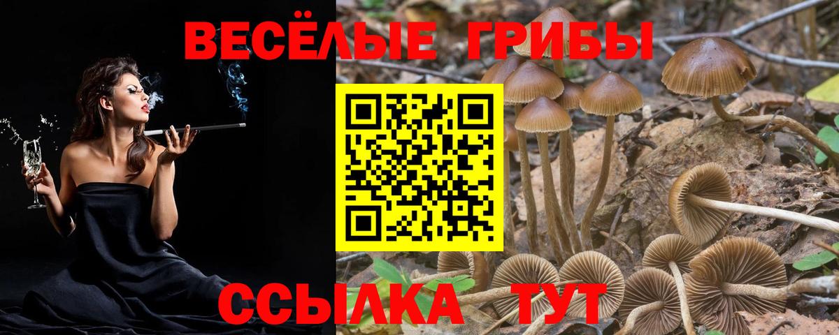 Серпухов  Галлюциногенные грибы GOLDEN TEACHER  Вход с VPN 