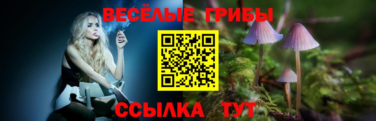 Псилоцибиновые грибы Cubensis Серпухов
